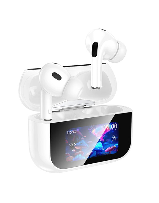 Hoco Earbud ANC Noise Cancelling, Touch Screen Case (EW79)