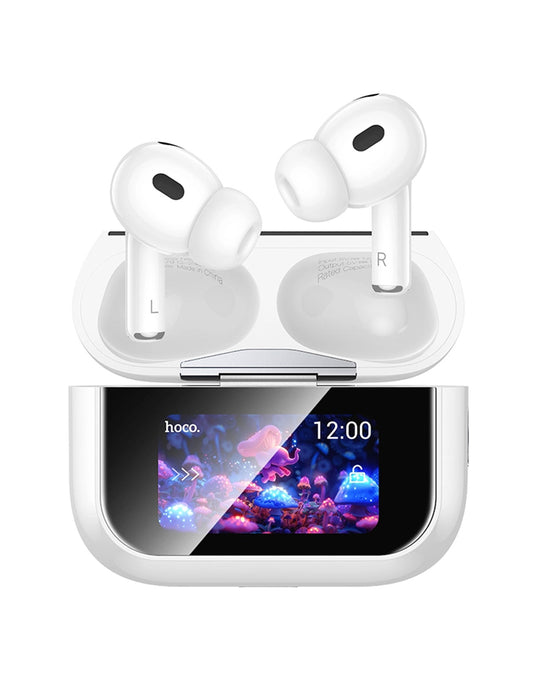 Hoco Earbud ANC Noise Cancelling, Touch Screen Case (EW79)